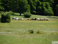 2026-05-23 Anello degli Ernici 111